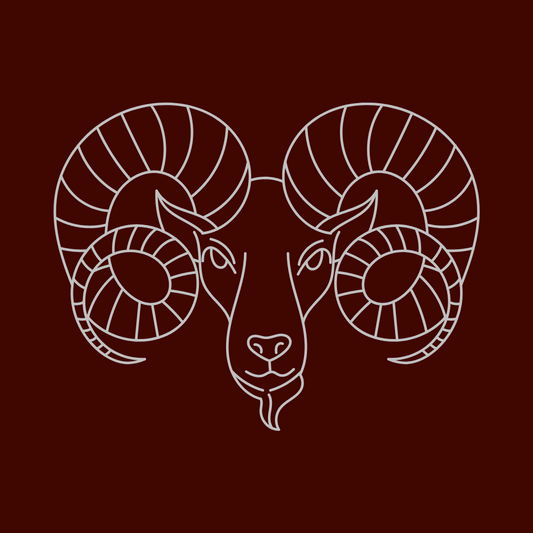 Red Aries Rising Mission