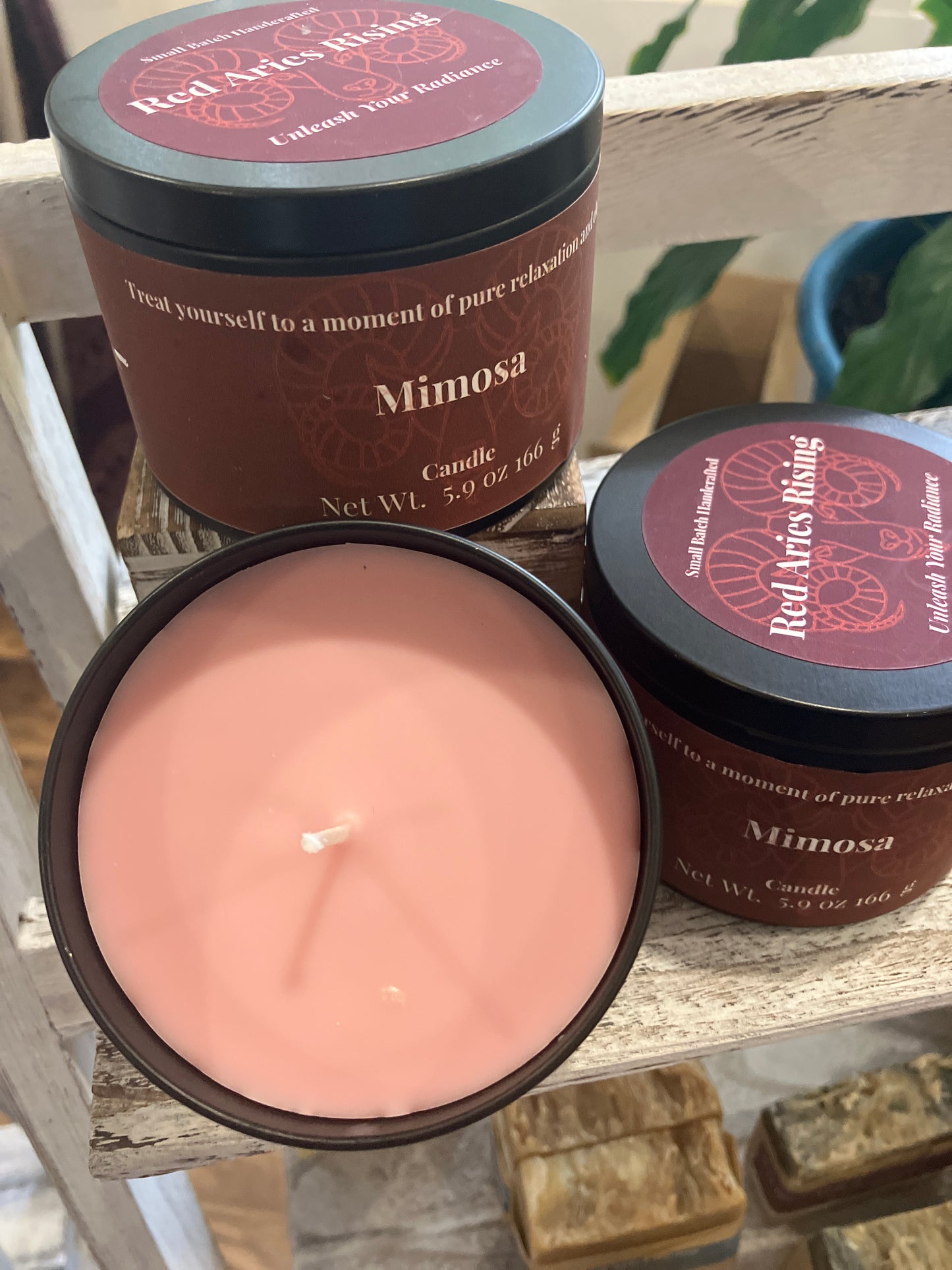 Mimosa Candle